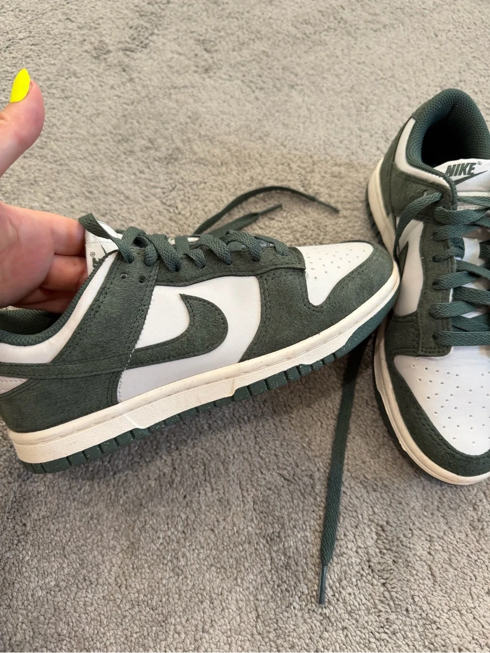 Nike dunks hunter